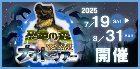 恐竜の森ナイトツアー