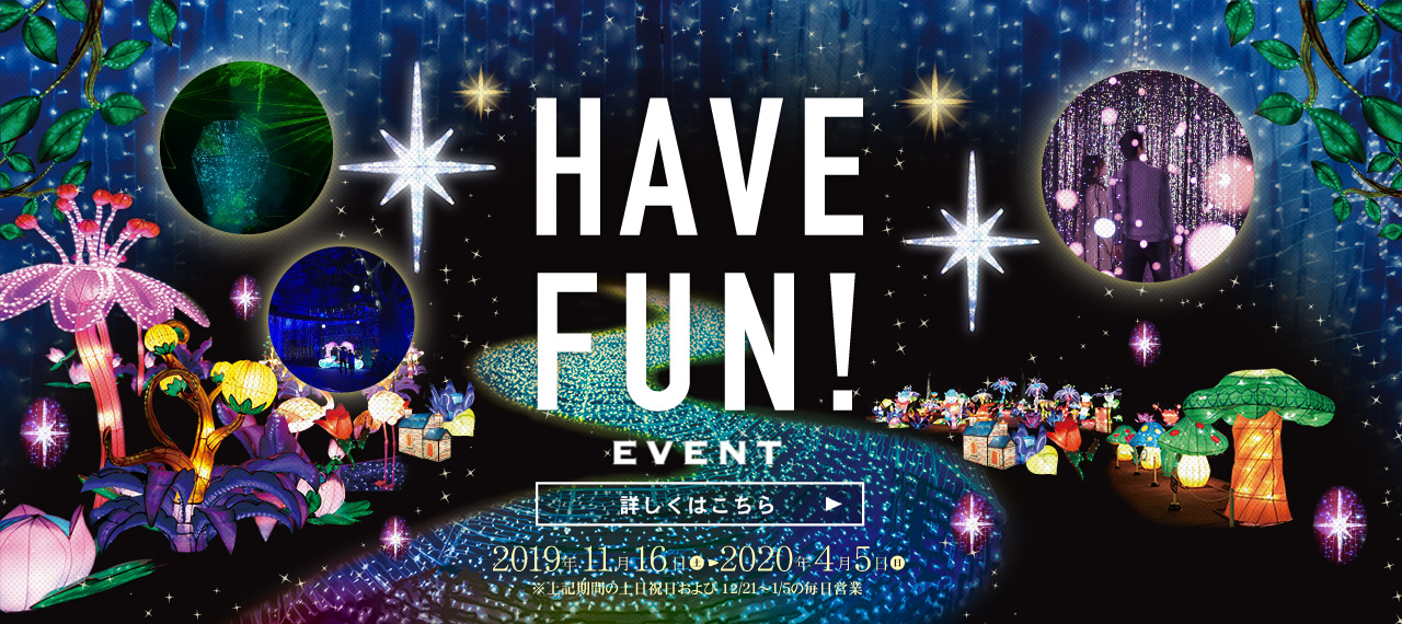 スライドイメージです