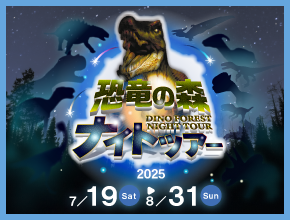 恐竜の森ナイトツアー